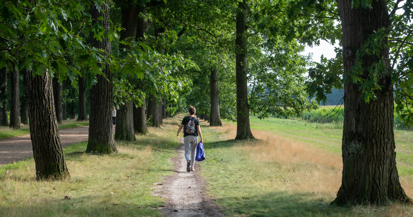 A person walking along a quiet green forest path